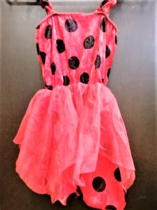 Kids Costumes to Hire - Ladybug Dress - Small